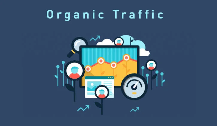 Organic traffic for blog SEO performance